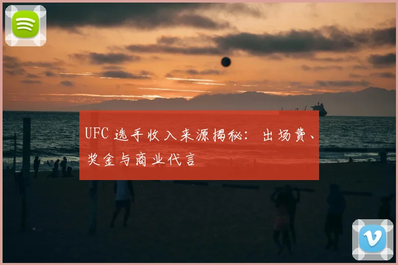 UFC 选手收入来源揭秘:出场费、奖金与商业代言