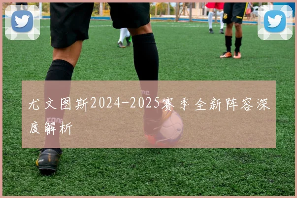 尤文图斯2024-2025赛季全新阵容深度解析