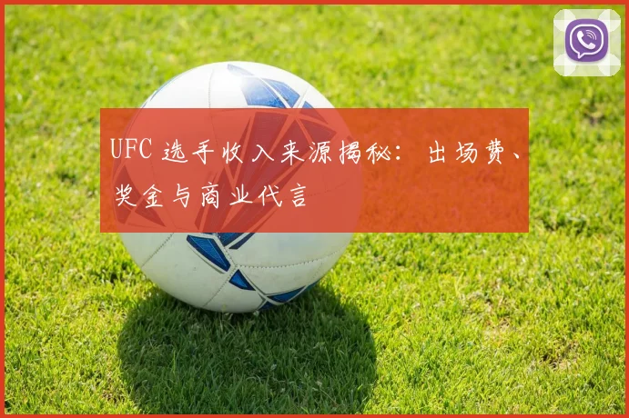 UFC 选手收入来源揭秘：出场费、奖金与商业代言